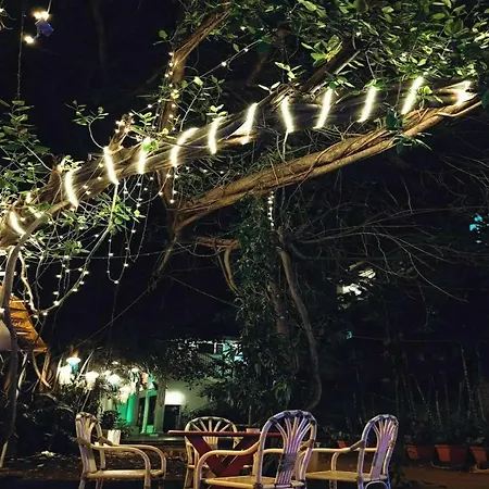 Piggy Calangute By Urban Nomads - Dorms & Pvt Rooms-2